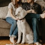 RSA More Than Pet Ownership Research