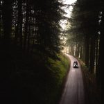 Europcar Road Trip and Home Comforts Research